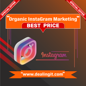 Organic InstaGram Marketing